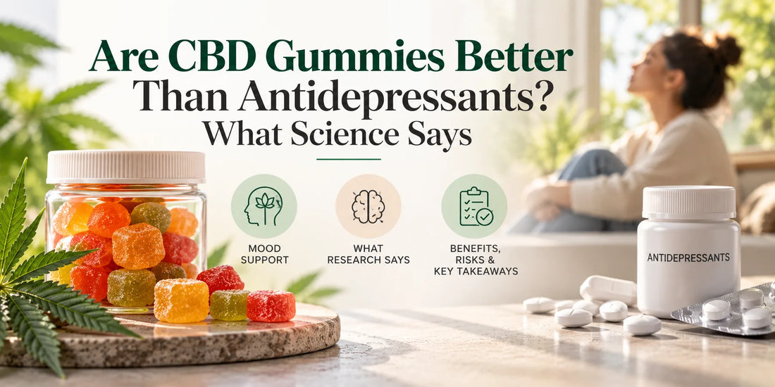 Are CBD Gummies Better Than Antidepressants? What the Science Says