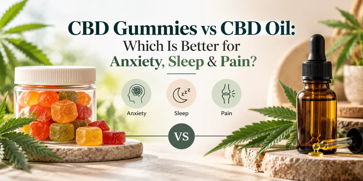 CBD Gummies vs CBD Oil: Which Is Better for Anxiety, Sleep & Daily Wellness?