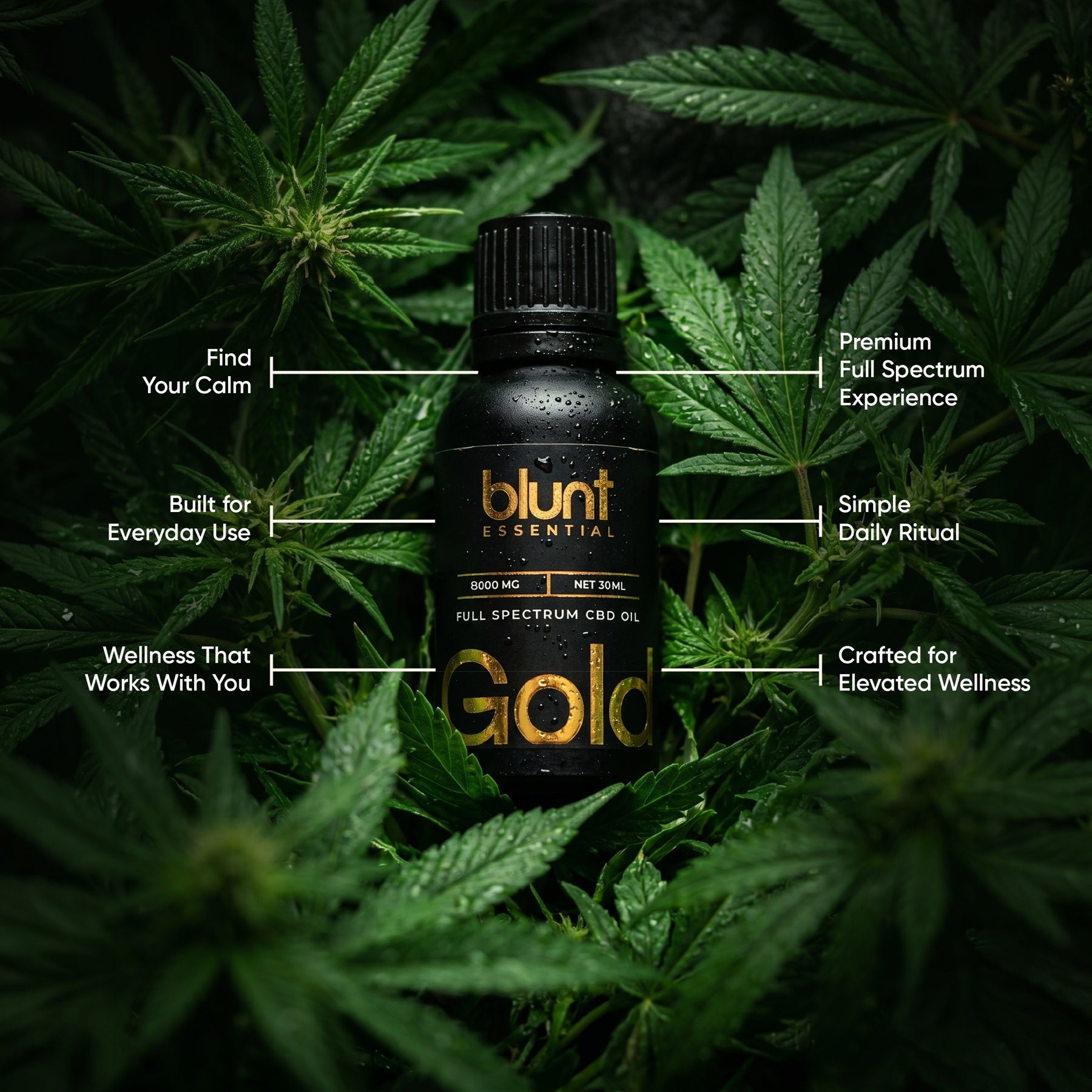 Blunt Gold +++ Full Spectrum Vijaya Oil 8000mg 1:7 (CBD:THC)